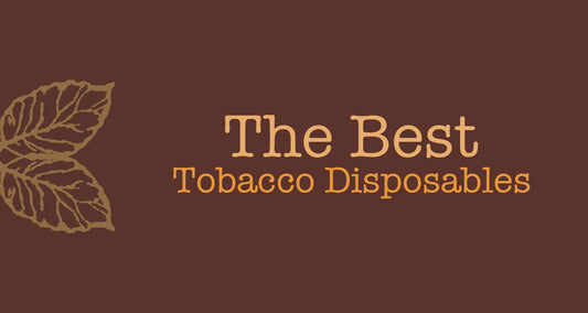 Best Tobacco Flavored Disposables