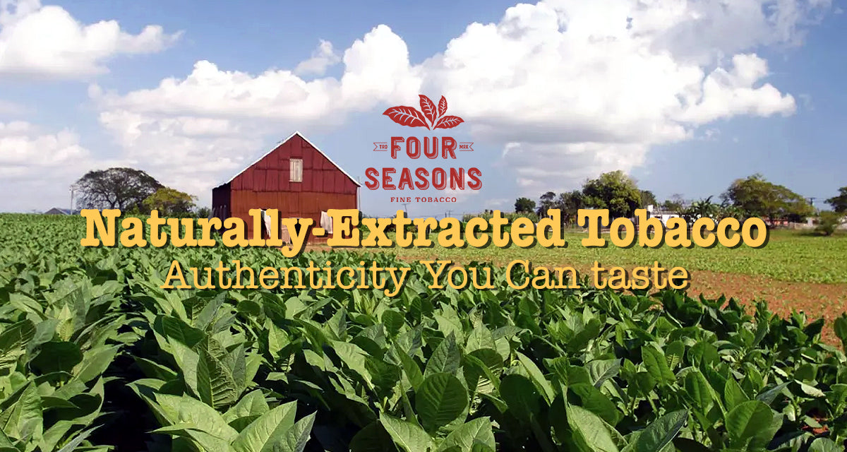 The New Kings of Tobacco Vape Juice Four Seasons