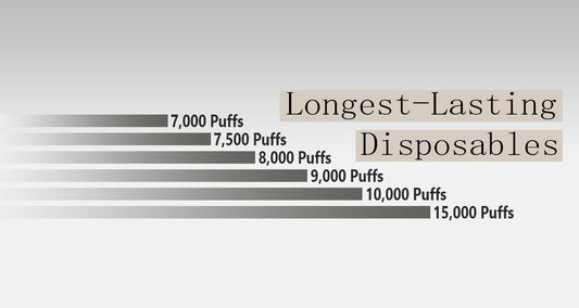 Longest Lasting Disposable Vapes