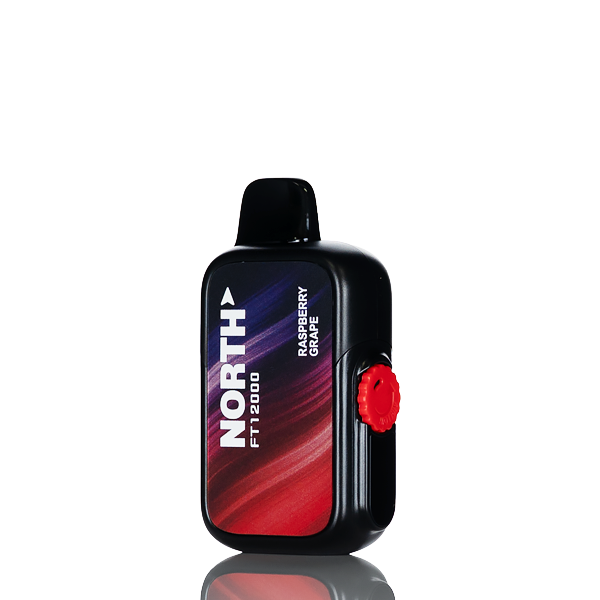 North FT12K 12000 Puffs Disposable Vape