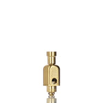Ghost Bus Club NTSU PLUS+ RBA and CRTX Slam Cap Limited Edition Gold