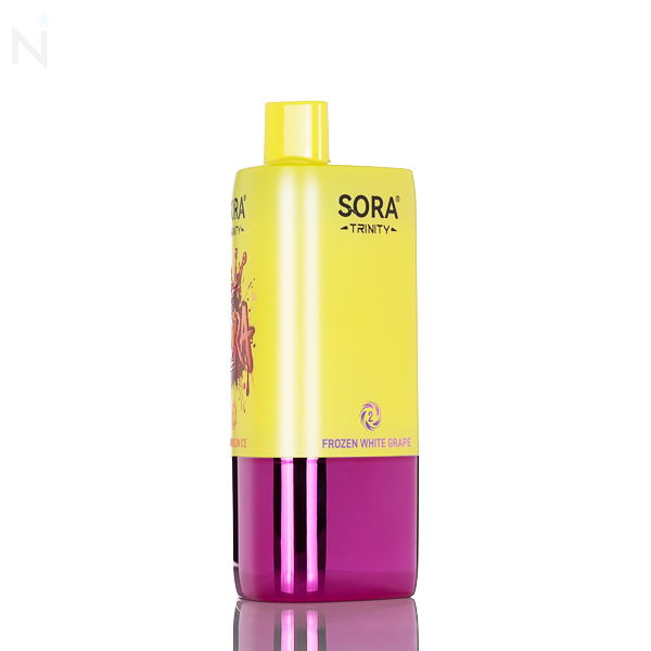 Sora Trinity 60K Disposable