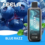 FEELA NIC 40,000 Puffs Disposable