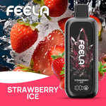 FEELA NIC 40,000 Puffs Disposable