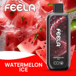 FEELA NIC 40,000 Puffs Disposable