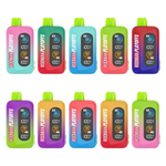 RODMAN Playoffs 50,000 Puffs Ice-Nic Control Disposable